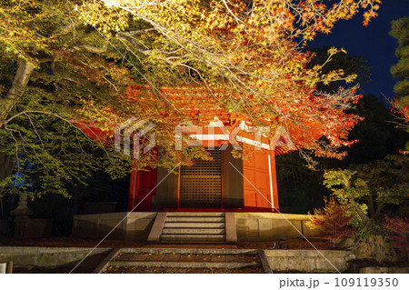 秋の京都東山　東福寺　愛染堂と紅葉のライトアップ 109119350