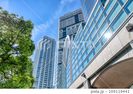 横浜の都市風景 横浜市神奈川区 横浜の都市風景 横浜市神奈川区 109119441