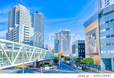 横浜の都市風景 スカイウェイ 横浜の都市風景 スカイウェイ 109119445