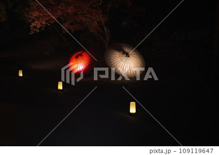 番傘と紅葉 番傘と紅葉 109119647