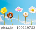 Colorful glazed donuts and daisy flowers in row against blue sky 109119782