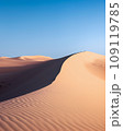 Sand dunes in desert with blue sky in background 109119785