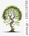 Bonsai tree of evolution twisted in spiral 109119790