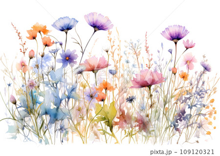 watercolor Wild flowers border isolated watercolor Wild flowers border isolated 109120321