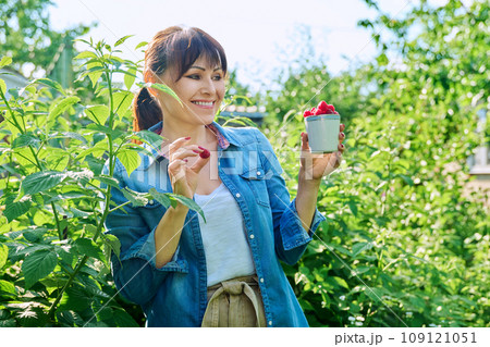 Happy woman in raspberry bushes garden, with cup ripe raspberries 109121051