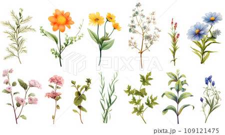 flower isolated floral nature plant spring leaf background summer generative Ai. 109121475