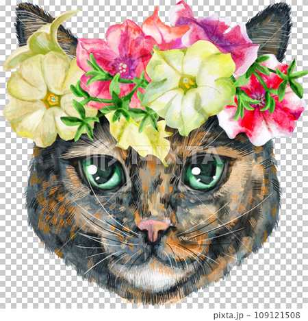 Lovely closeup portrait of Short-haired tortoiseshell cat in a wreath of flowers. Hand drawn watercolor painting on white background 109121508