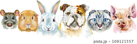 Border from watercolor portraits of dog, guinea pig, cat, mini pig, rabbit and rat Border from watercolor portraits of dog, guinea pig, cat, mini pig, rabbit and rat 109121557
