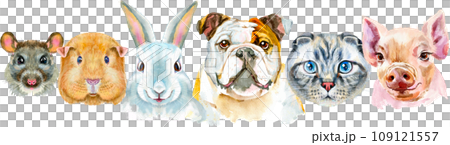 Border from watercolor portraits of dog, guinea pig, cat, mini pig, rabbit and rat Border from watercolor portraits of dog, guinea pig, cat, mini pig, rabbit and rat 109121557