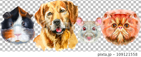 Border from watercolor portraits of dog, guinea pig, cat, mini pig, rabbit and rat 109121558