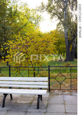 Bench in a beautiful park in autumn - background Bench in a beautiful park in autumn - background 109121803