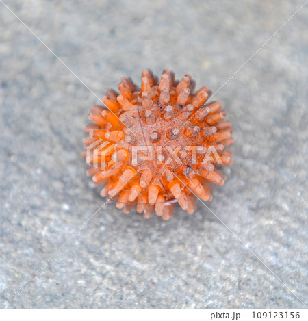 Spikey Rubber Ball 109123156