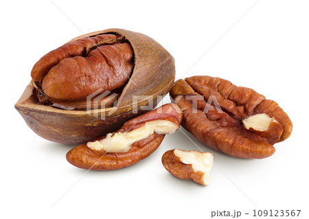 broken pecan nut isolated on white background with full depth of field 109123567