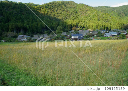 かやぶきの里(京都府南丹市美山町 北集落、京都丹波高原国定公園) かやぶきの里(京都府南丹市美山町 北集落、京都丹波高原国定公園) 109125189