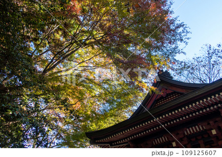 水澤観音の境内　群馬県渋川市 109125607