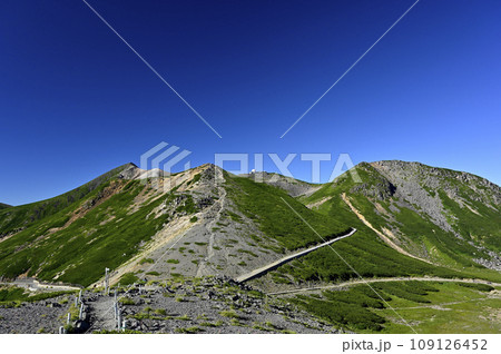 夏の乗鞍 大黒岳からの眺望（撮影地：乗鞍、大黒岳） 109126452
