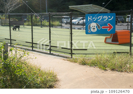 サービスエリアのドッグラン設備 109126470