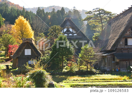 白川郷 世界遺産 合掌造り紅葉風景 白川郷 世界遺産 合掌造り紅葉風景 109126583