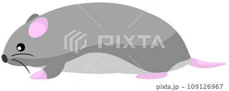 トリトンハムスター 109126967