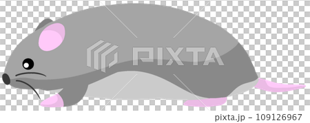 トリトンハムスター 109126967