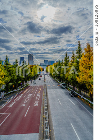 東京都 外苑東通り 109126995