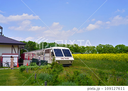 公園内をぐるっと巡る列車 リリートレイン 公園内をぐるっと巡る列車 リリートレイン 109127611