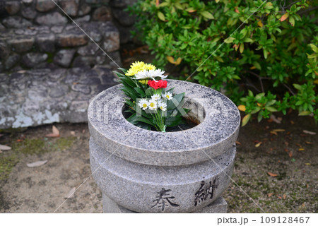伊丹昆陽寺境内の供花-1 109128467
