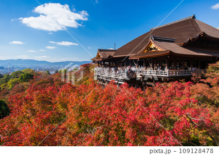 紅葉の清水寺(京都府-京都市) 紅葉の清水寺(京都府-京都市) 109128478