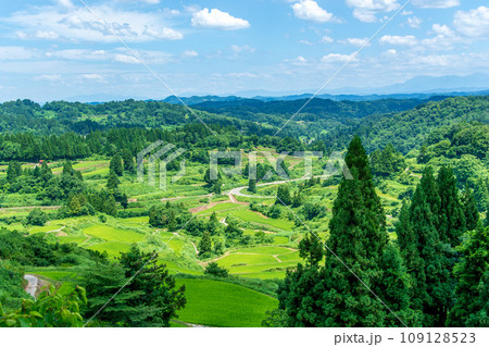 星峠の棚田 ~夏~ 新潟県十日町市 星峠の棚田 ~夏~ 新潟県十日町市 109128523