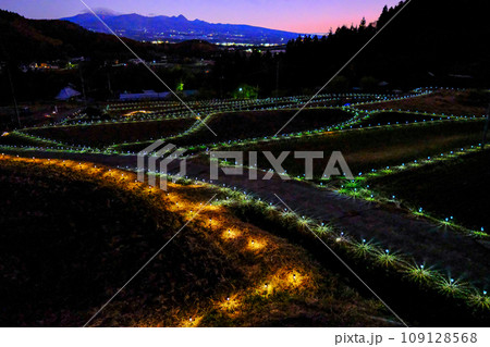 夕暮れの石墨棚田1 109128568