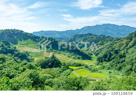 清水の棚田(新潟県) 清水の棚田(新潟県) 109128659