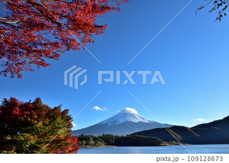 絶景紅葉と富士（快晴の河口湖畔から臨む） 109128673