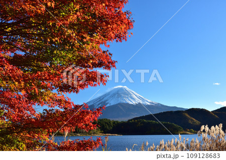 絶景紅葉と富士（快晴の河口湖畔から臨む） 109128683