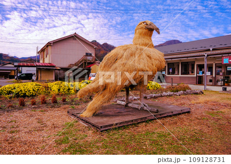 赤谷のイヌワシ 109128731