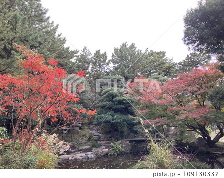2023年茅ヶ崎市美術館の秋の庭園 109130337
