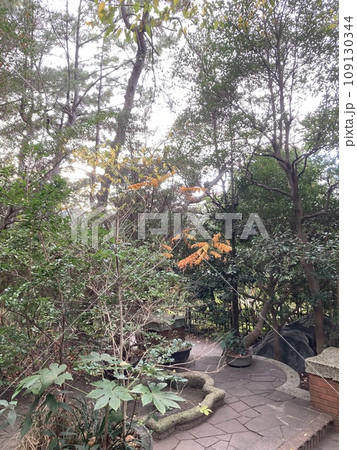 2023年茅ヶ崎市美術館の秋の庭園 109130344