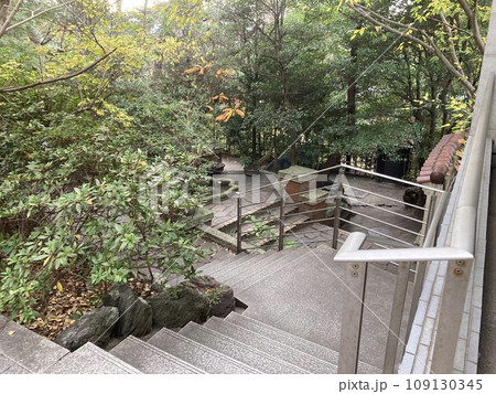 2023年茅ヶ崎市美術館の秋の庭園 2023年茅ヶ崎市美術館の秋の庭園 109130345