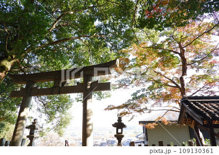 奈良県三室山の紅葉 109130361
