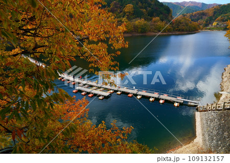 紅葉に染まる奥多摩湖 麦山浮橋 紅葉に染まる奥多摩湖 麦山浮橋 109132157