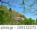 満開の桜に出会える最明寺史跡公園（至福の春の時間） 109132272