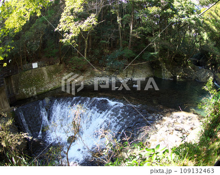 森の中の小さな滝 109132463