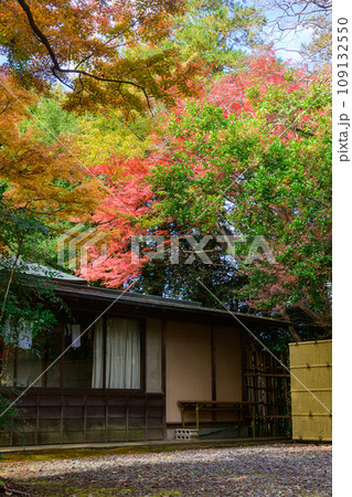 秋の清水公園　紅葉と聚楽館 109132550