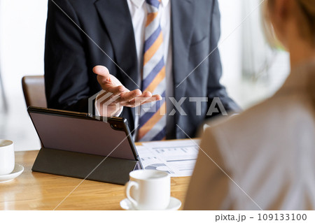 説明をする営業職のビジネスマン 説明をする営業職のビジネスマン 109133100