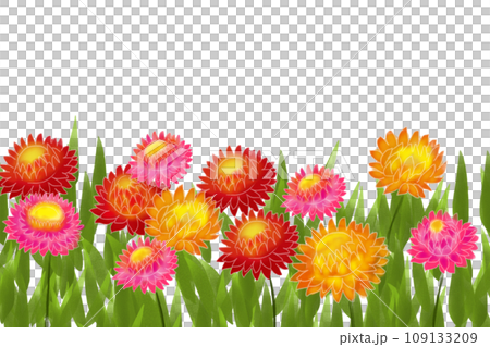 Straw chrysanthemum flower card 2 109133209