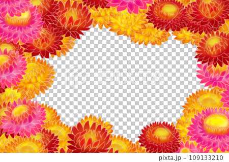 稻草菊花卡3 109133210