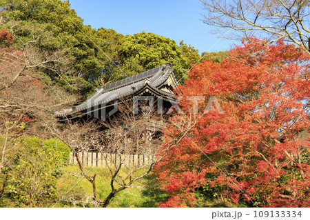 紅葉見頃な信貴山朝護孫子寺 紅葉見頃な信貴山朝護孫子寺 109133334
