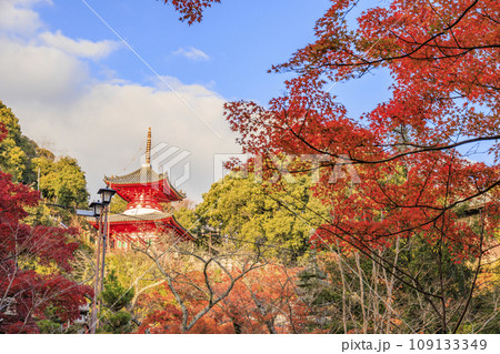紅葉見頃な信貴山朝護孫子寺 紅葉見頃な信貴山朝護孫子寺 109133349