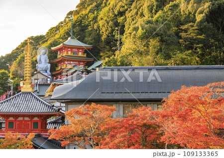 紅葉見頃な信貴山朝護孫子寺 109133365