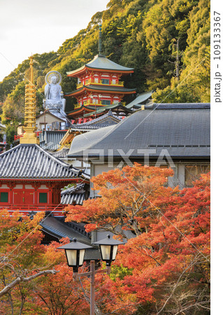 紅葉見頃な信貴山朝護孫子寺 紅葉見頃な信貴山朝護孫子寺 109133367