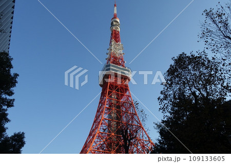 往年の東京タワー まだ現役 往年の東京タワー まだ現役 109133605